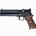 Air Pistol at Aerosoft